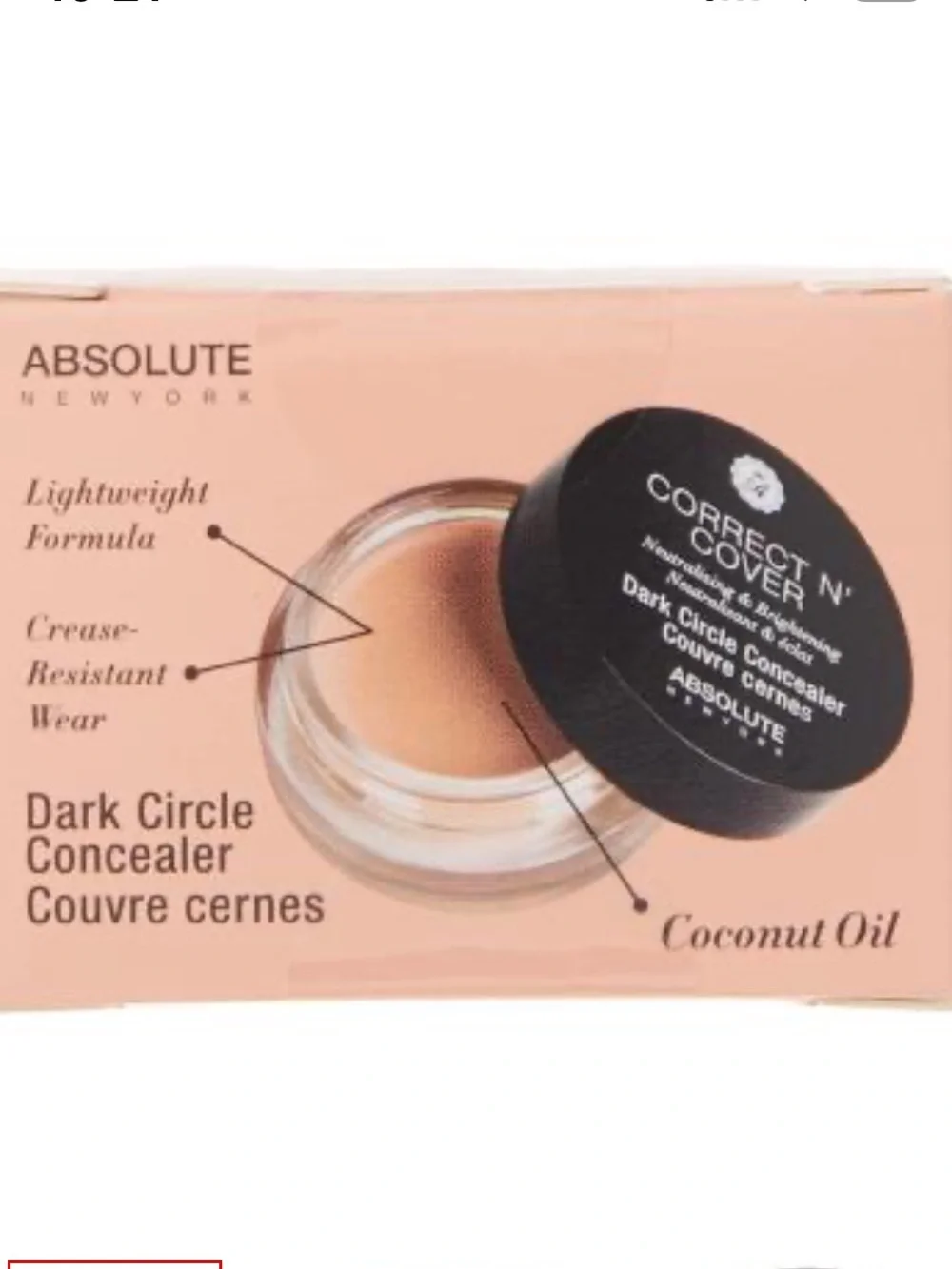 Absolute New York Correct N' Cover Dark Circle Concealer in Fair